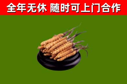 高要区烟酒回收冬虫夏草.jpg